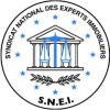 logo_snei-1